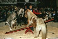 1985-01-12 Doe mer wa show B27 1985-01-12 Doe mer wa show B27